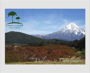  Caballadas, Patagonia Argentina: diseño de isologotipo, tarjetas, presentación y web.