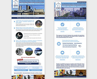  14º International Congress of Shoulder and Elbow Surgery: diseño de newsletters y página web para el congreso.