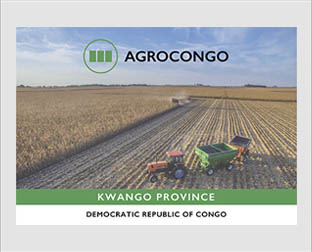  Agrocongo: diseño de plantillas para presentaciones de Power Point o PDF.