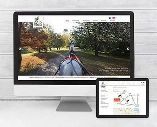  La Eloisa, golf & polo lodge: diseño de página web.